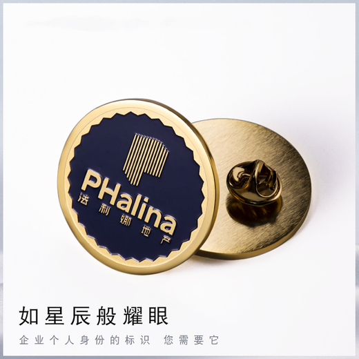 上海誠泰金屬胸章鋅合金材質量大從優